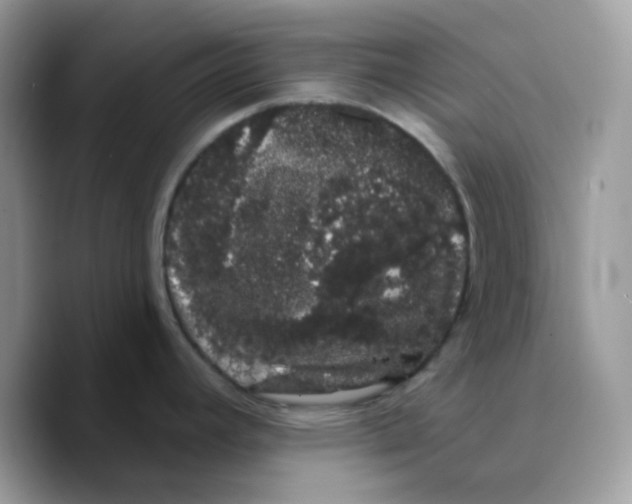 X0000089761392200707201933