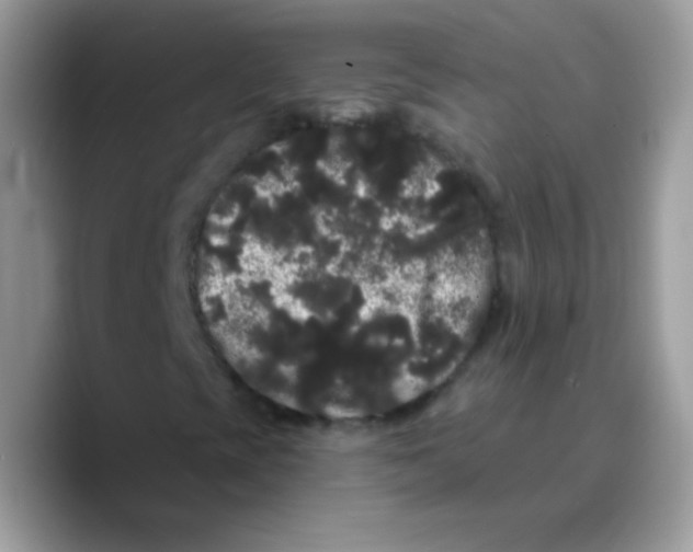 X0000089761393200707201933