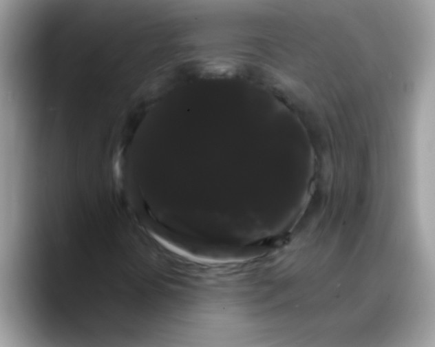 X0000089761394200707201933