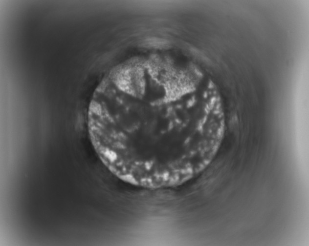 X0000089761397200707201933