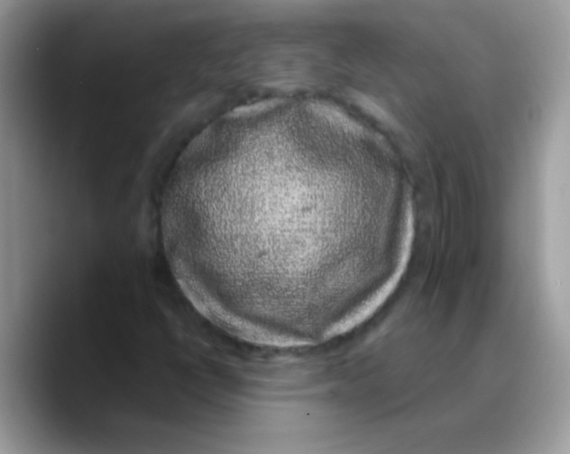 X0000089761398200707201933