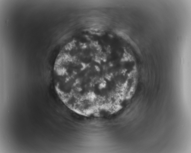 X0000089761399200707201933