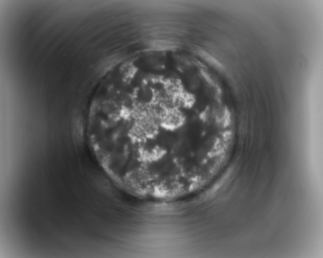 X0000089761401200707201933