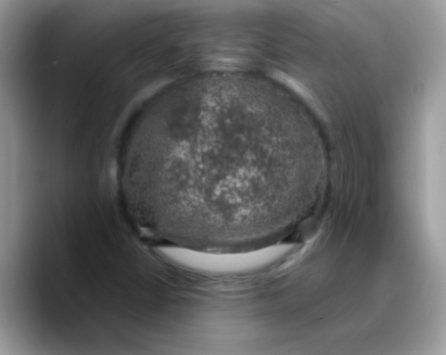 X0000089761402200707201933