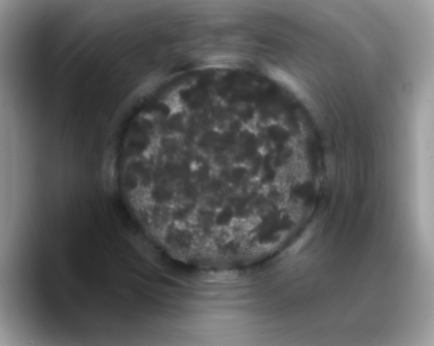 X0000089761403200707201933