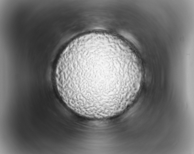 X0000089761404200707201933