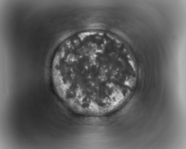 X0000089761405200707201933