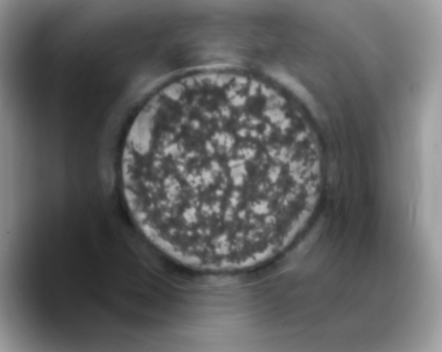 X0000089761407200707201933