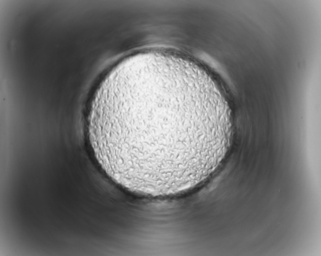 X0000089761408200707201933
