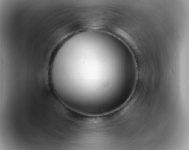 X0000089761410200707201933