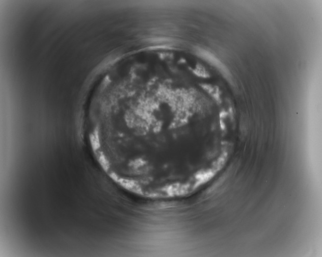 X0000089761411200707201933