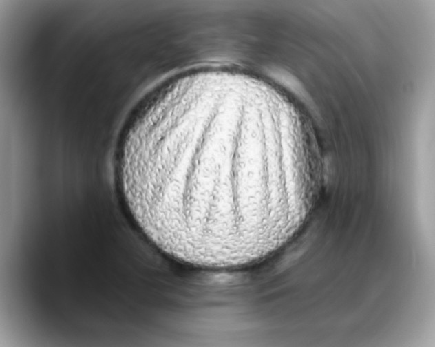 X0000089761412200707201933