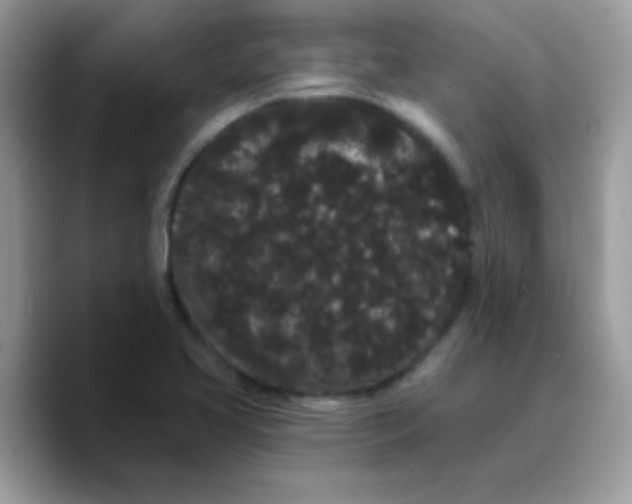 X0000089761413200707201933