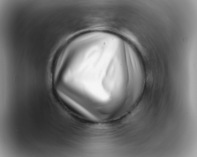 X0000089761414200707201933