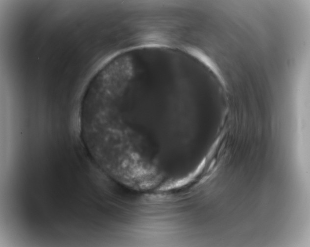 X0000089761415200707201933