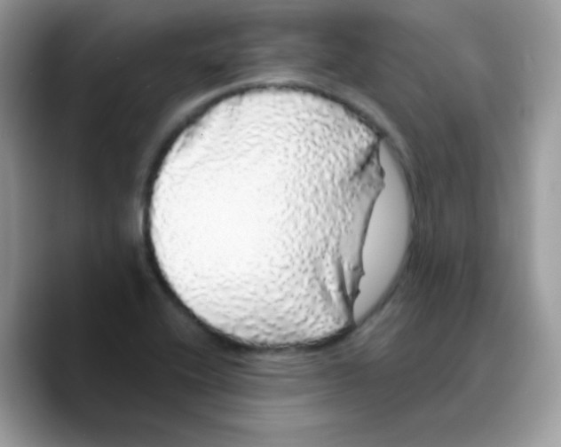 X0000089761416200707201933