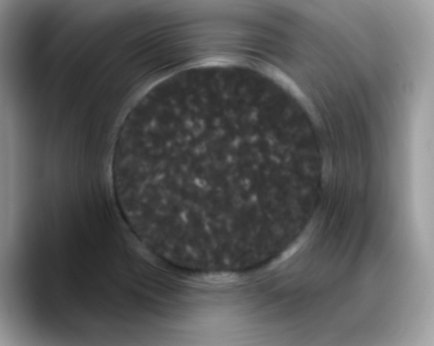 X0000089761417200707201933
