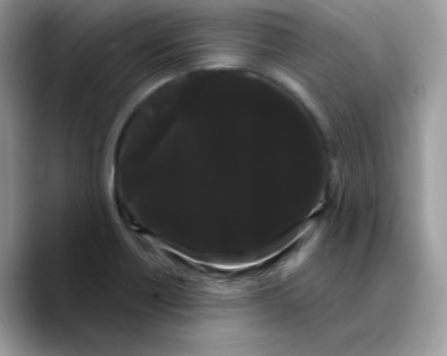 X0000089761418200707201933
