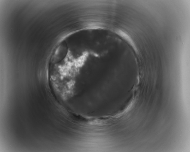 X0000089761419200707201933