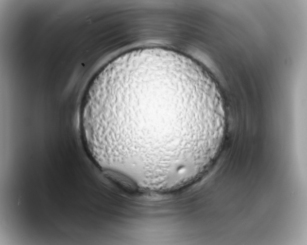 X0000089761420200707201933