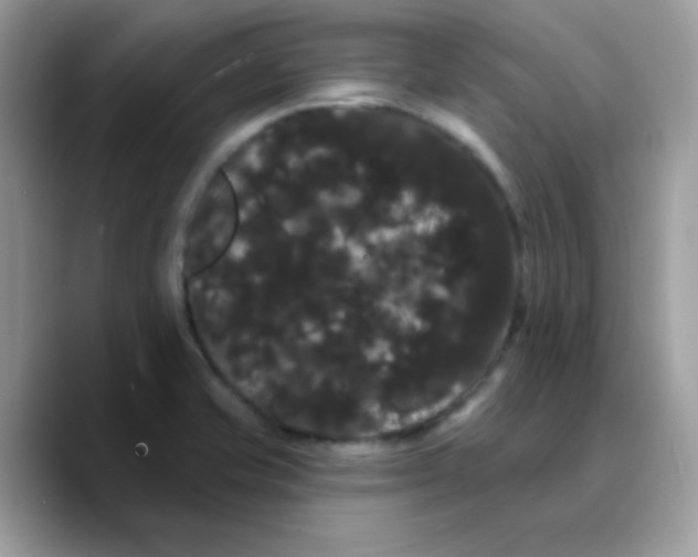 X0000089761421200707201933