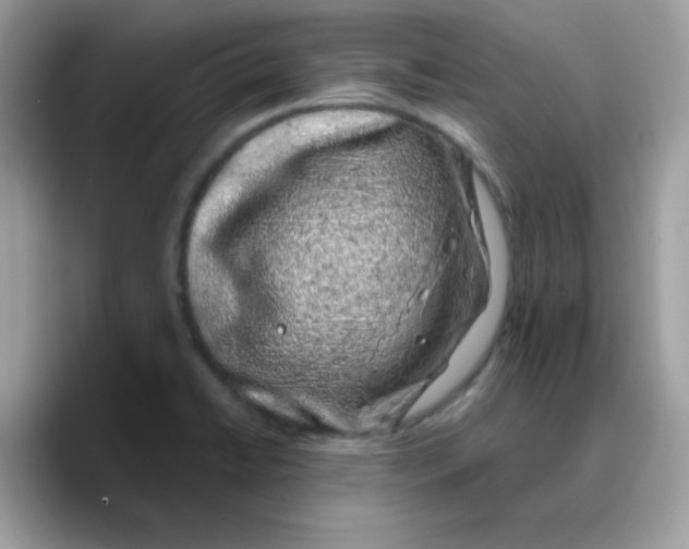 X0000089761422200707201933