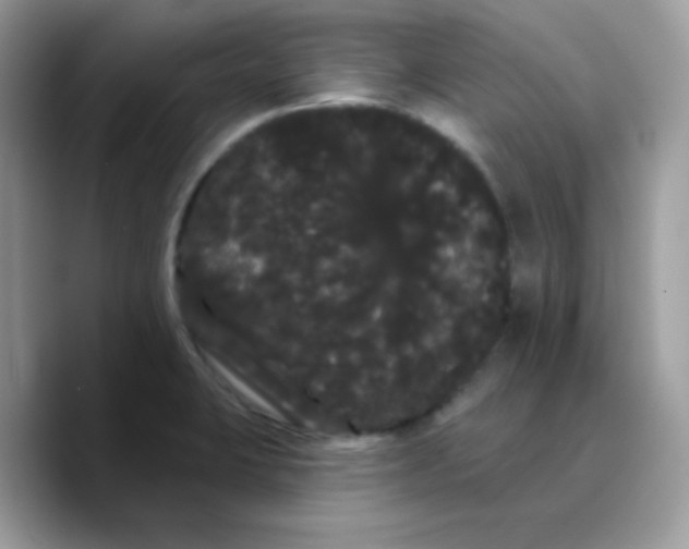 X0000089761423200707201933
