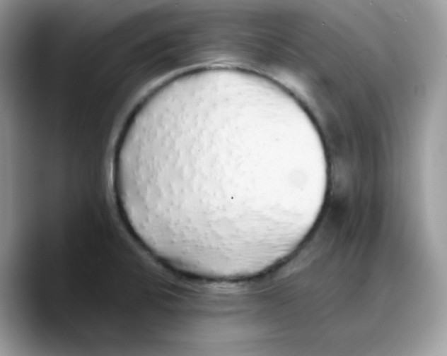 X0000089761424200707201933