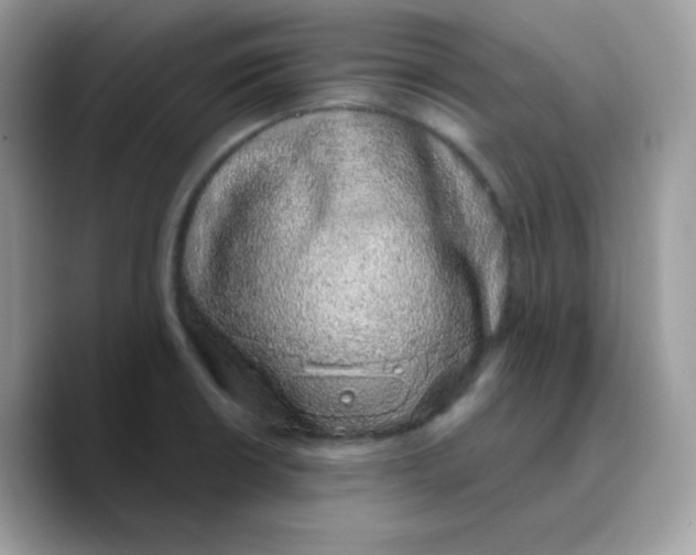 X0000089761426200707201933