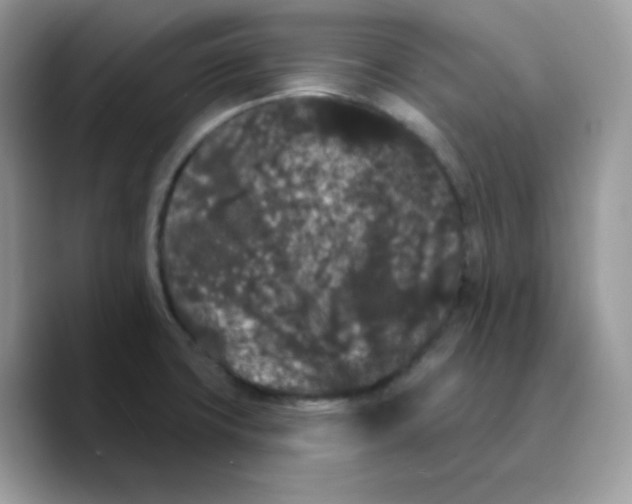 X0000089761427200707201933