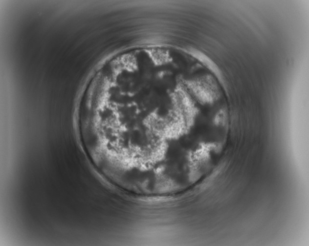 X0000089761429200707201933