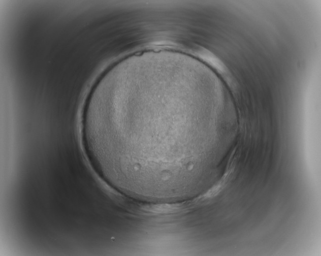 X0000089761430200707201933