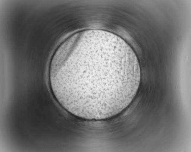 X0000089761432200707201933