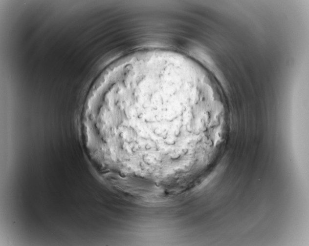 X0000089761433200707201933