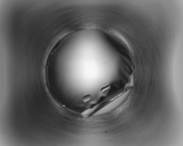 X0000089761434200707201933