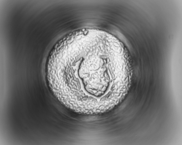 X0000089761435200707201933