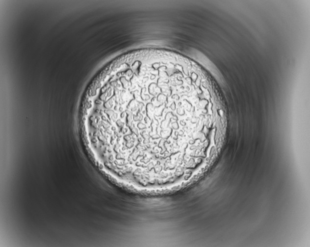 X0000089761436200707201933