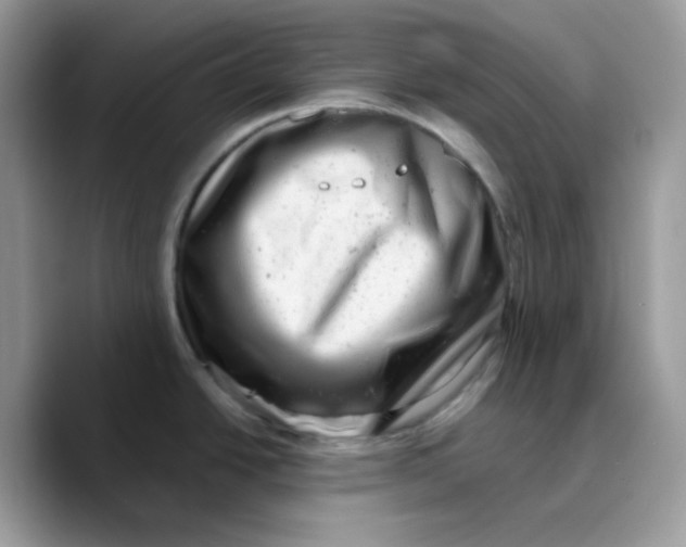 X0000089761438200707201933