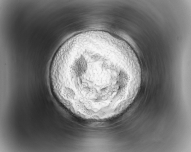 X0000089761439200707201933