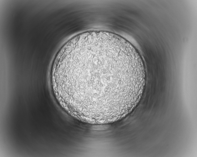 X0000089761440200707201933