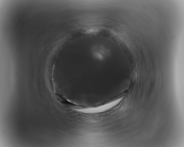 X0000089761441200707201933