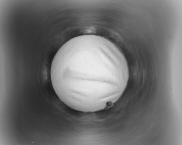 X0000089761442200707201933