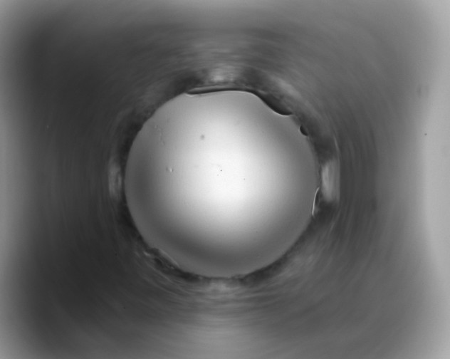 X0000089761443200707201933