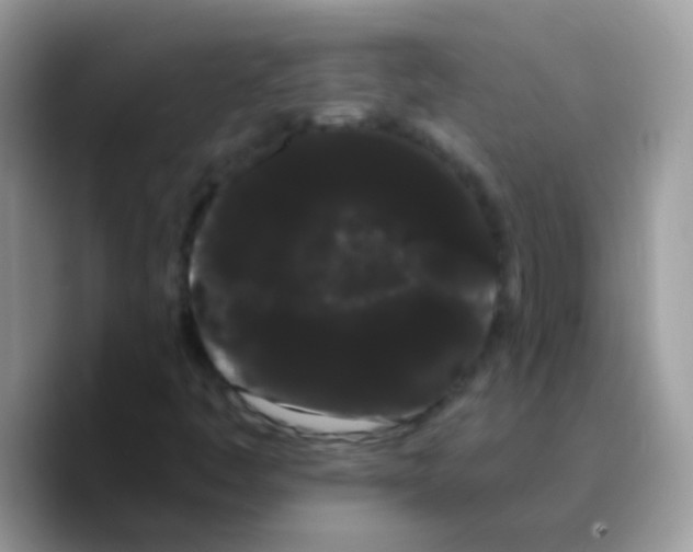 X0000089761445200707201933