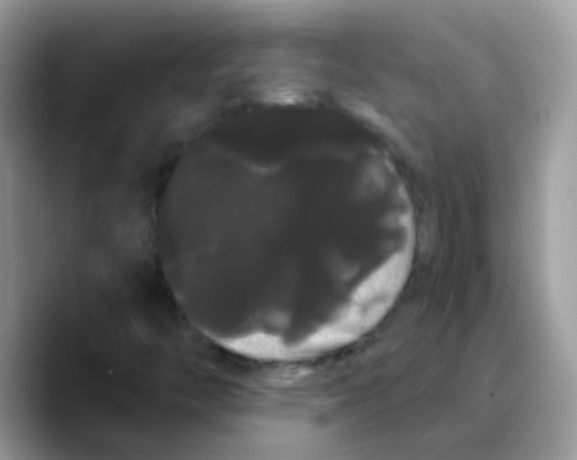 X0000089761446200707201933