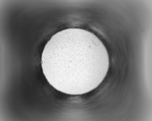 X0000089761447200707201933