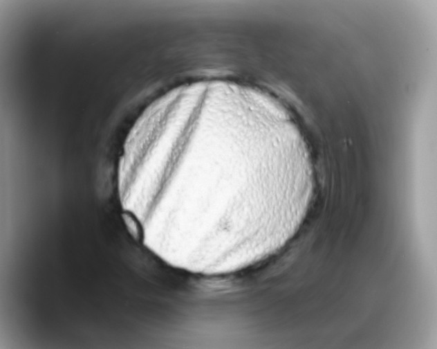 X0000089761448200707201933
