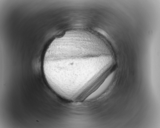X0000089761450200707201933