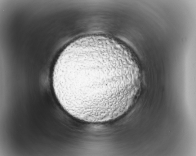 X0000089761452200707201933
