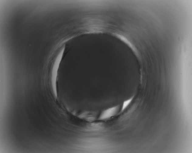X0000089761453200707201933